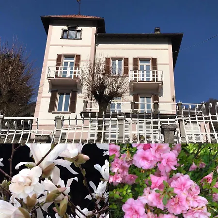 Oleandra Vip With Garden&swimming Pool 山林小屋 Dizzasco