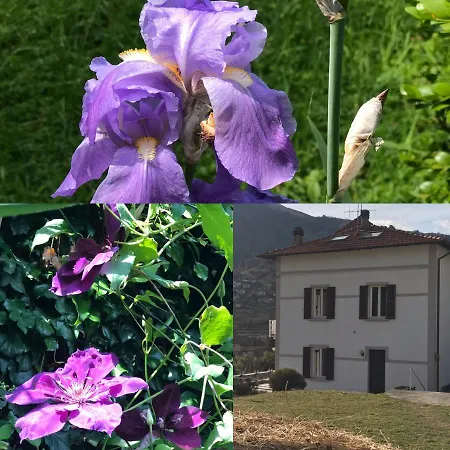 Oleandra Vip With Garden&swimming Pool Lodge *